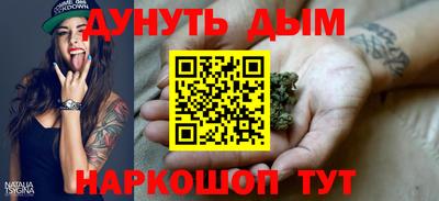 spice Гатчина