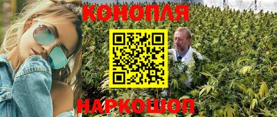 молекула духа Гай