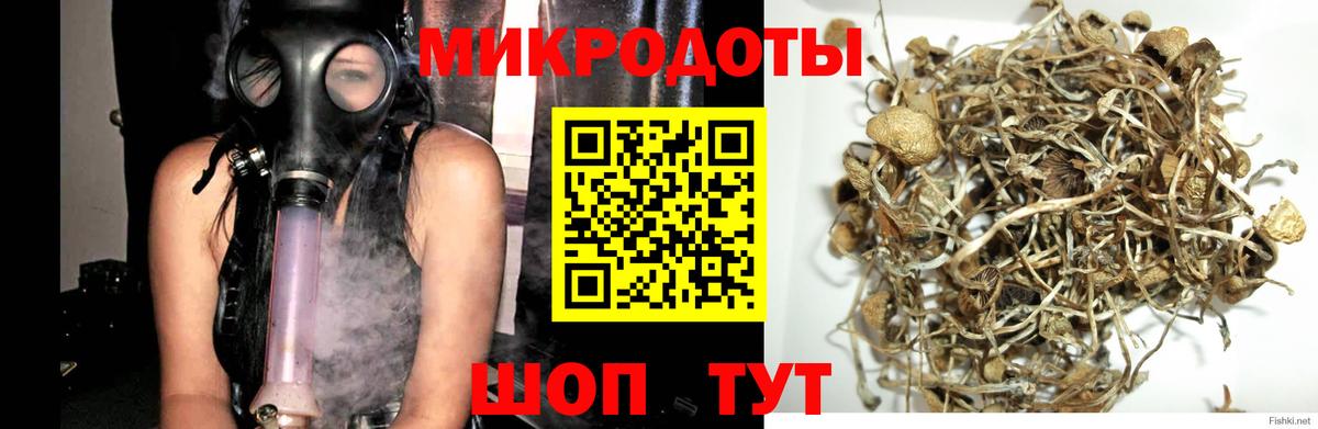 Галлюциногенные грибы прущие грибы  Галлюциногенные грибы прущие грибы  Вход с VPN  Мурино 